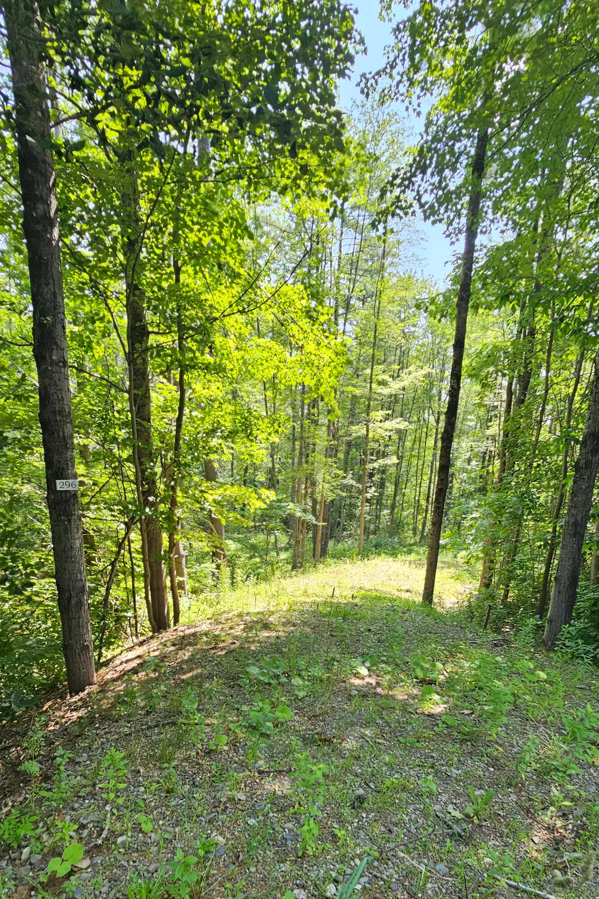 296 Libby Hill Road, Gardiner, ME 04345 - #1