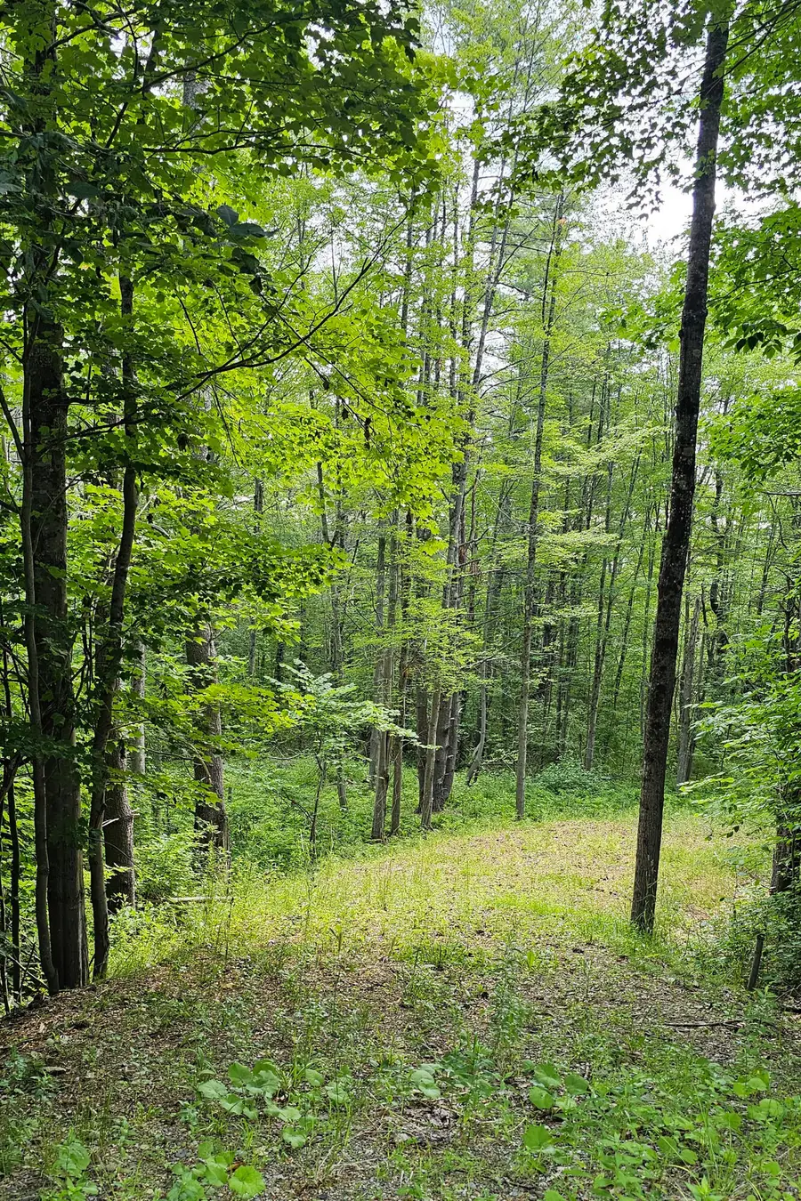 296 Libby Hill Road, Gardiner, ME 04345 - #2