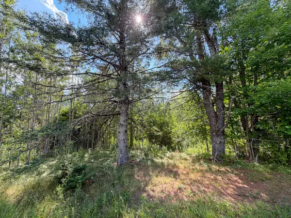 524 Millvale Road, Bucksport, ME 04416