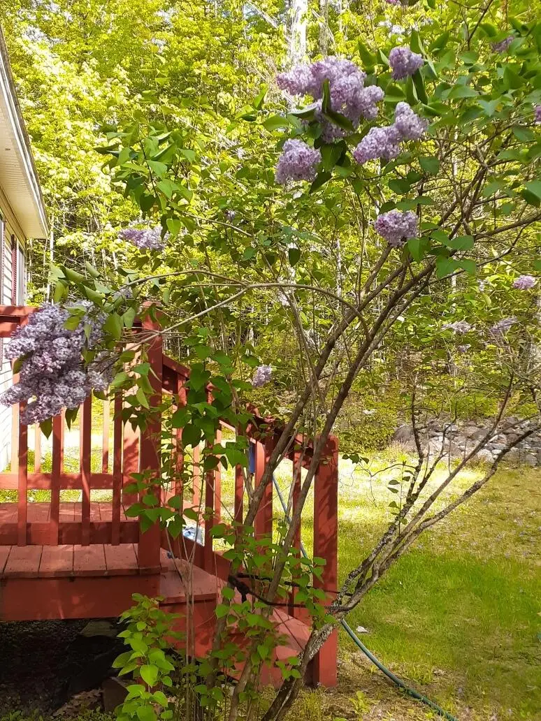 29 Dyer Lane, Casco, ME 04015 - #3