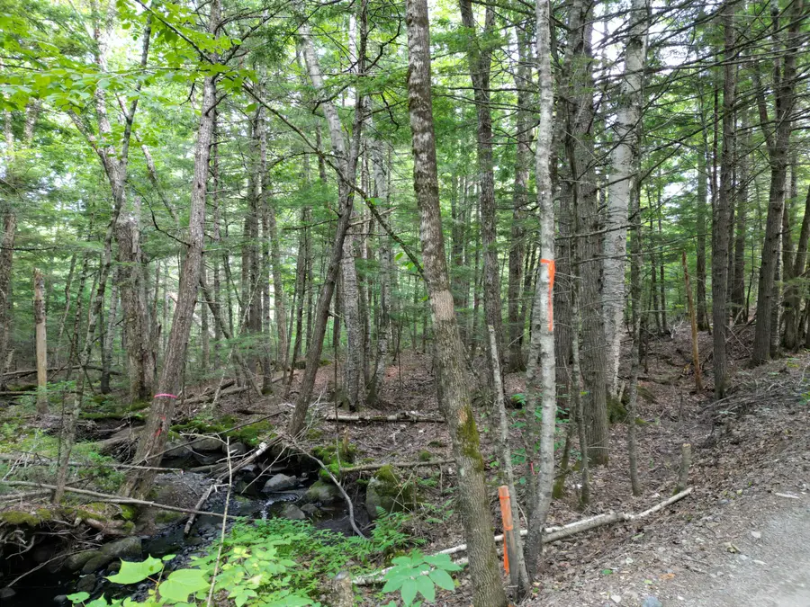 Lot 18-2 Madagascal Pond Road, Burlington, ME 04417 - #2