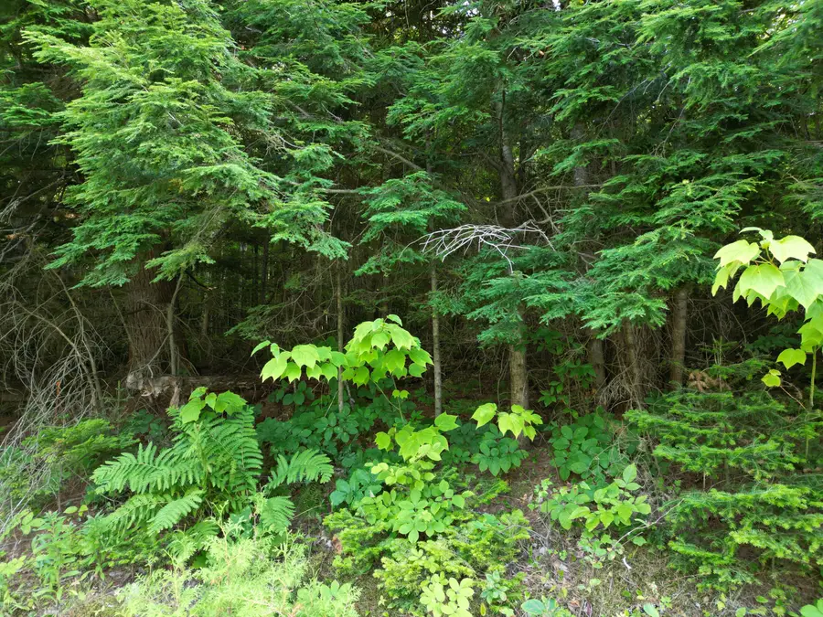 Lot 25 Lee Road, Lincoln, ME 04457 - #3