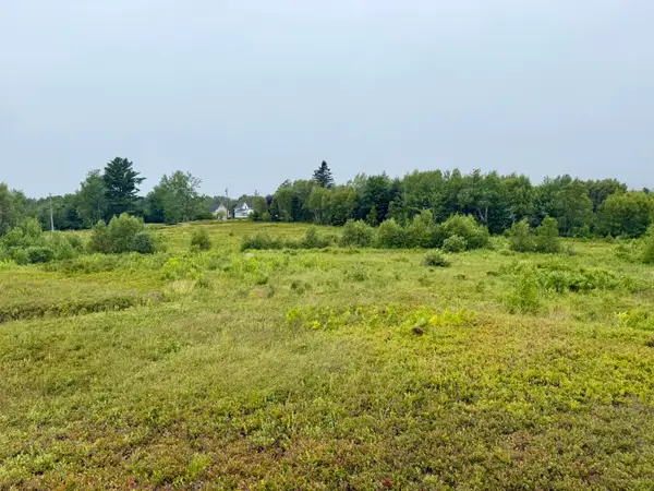 Lot 35 Guzzle Road, Gouldsboro, ME 04607