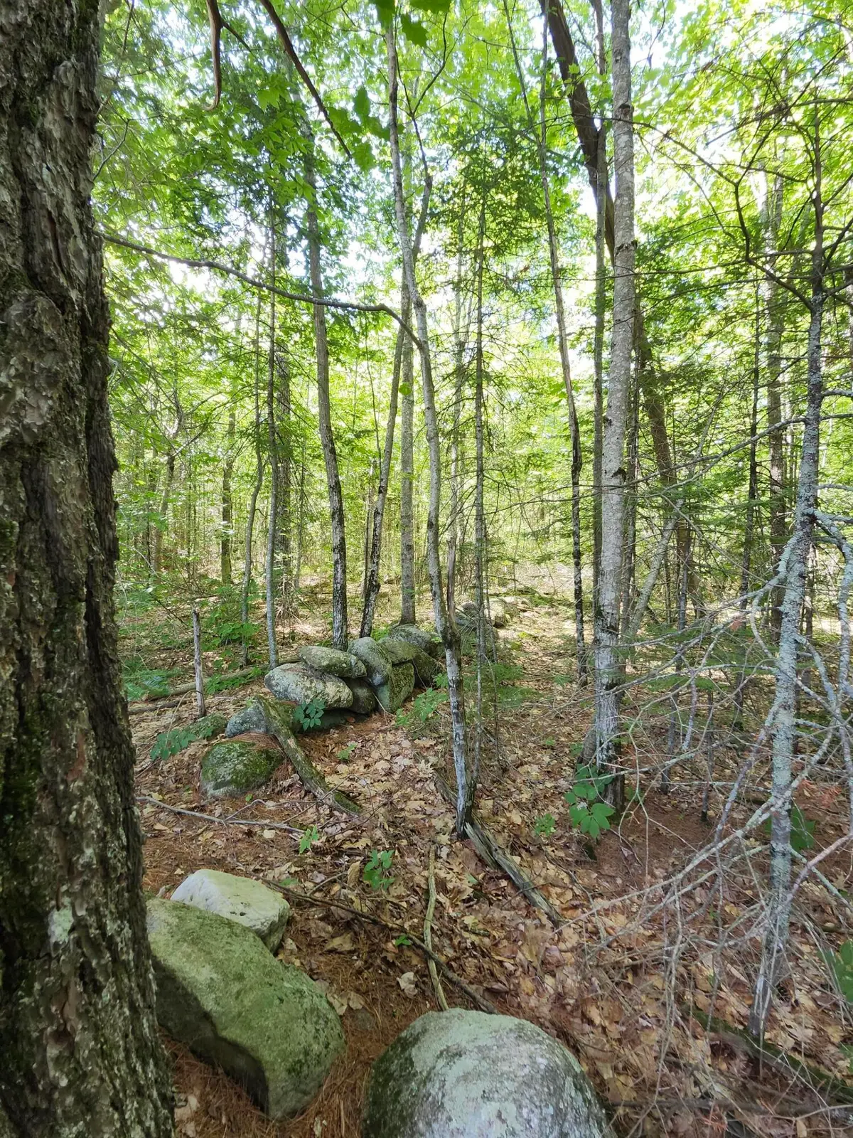 TBD Bridgton Road, Sebago, ME 04029 - #1