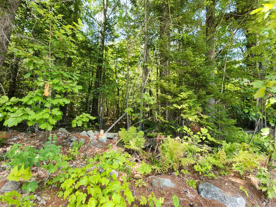 TBD Bridgton Road, Sebago, ME 04029 - #3