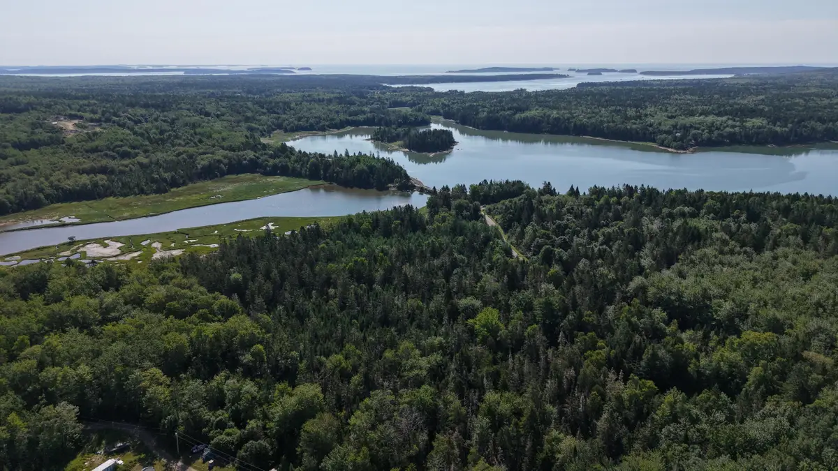 Lot 54 Pinkham Bay Bridge Road, Steuben, ME 04680 - #1