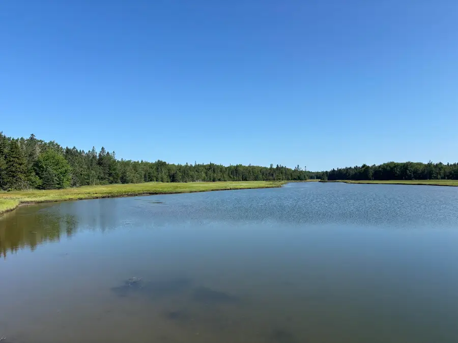 Lot 54 Pinkham Bay Bridge Road, Steuben, ME 04680 - #2