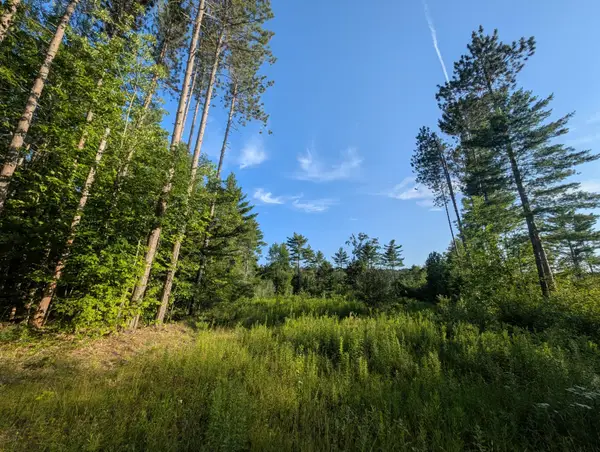 Lot # 2 Route 126 Route, Litchfield, ME 04350