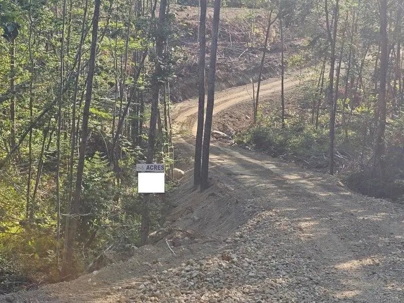 L2 Mcallister Road, Buckfield, ME 04220 - #2
