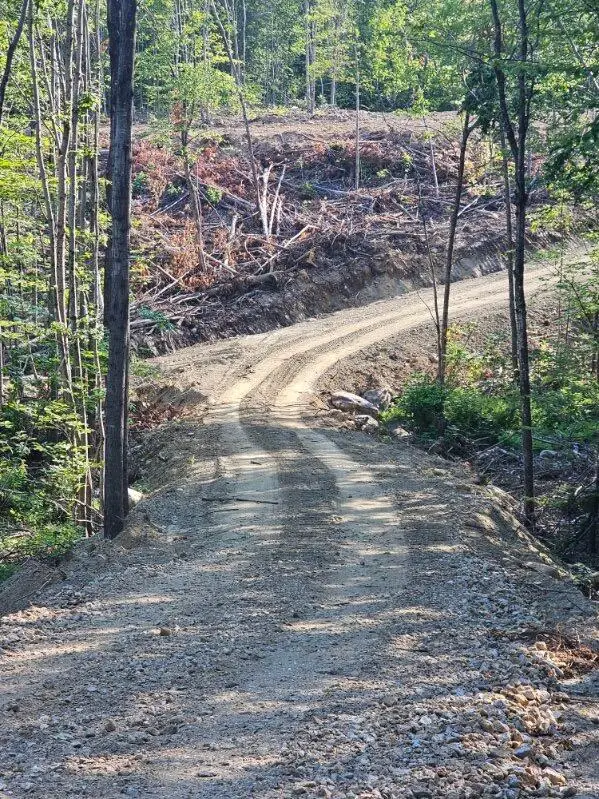 L2 Mcallister Road, Buckfield, ME 04220 - #3