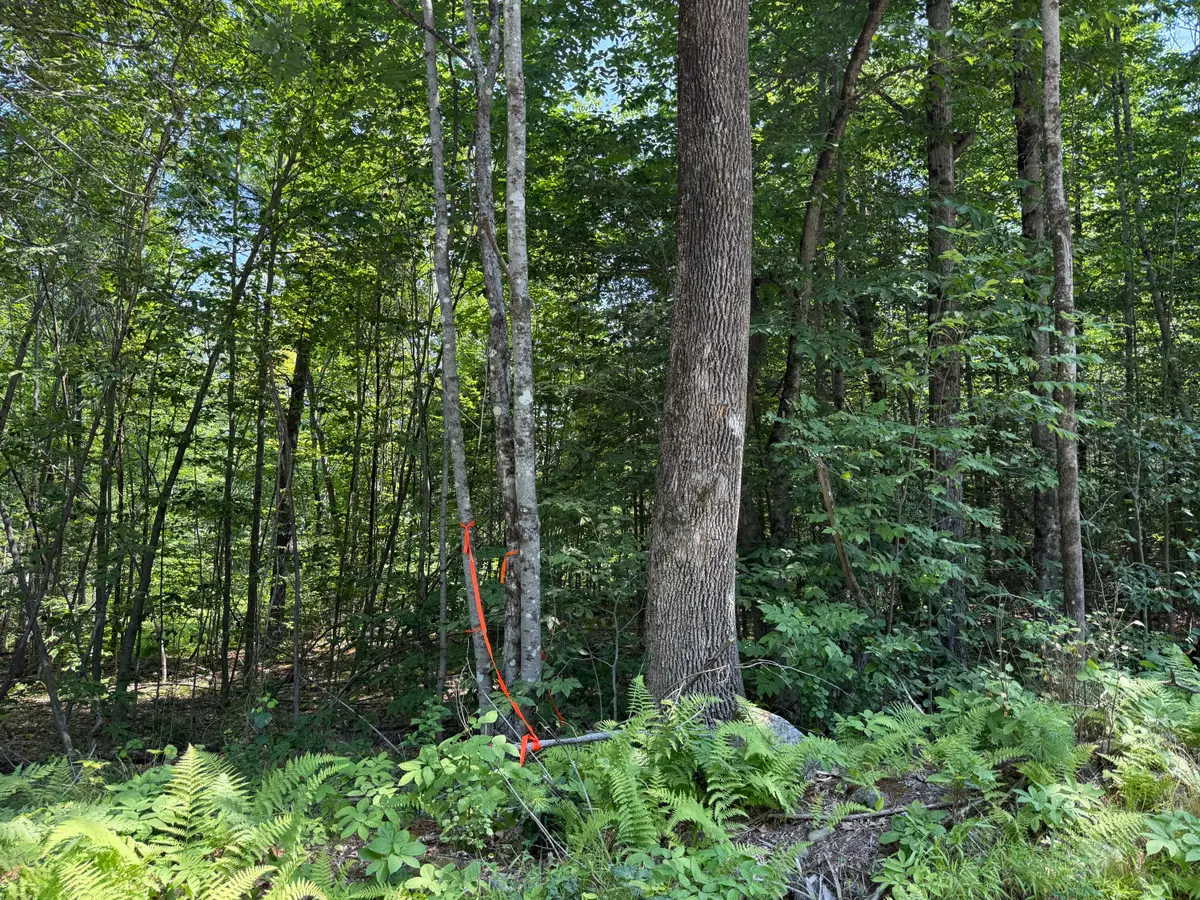 R2 L8-3 Ladd Road, Mercer, ME 04347 - #1