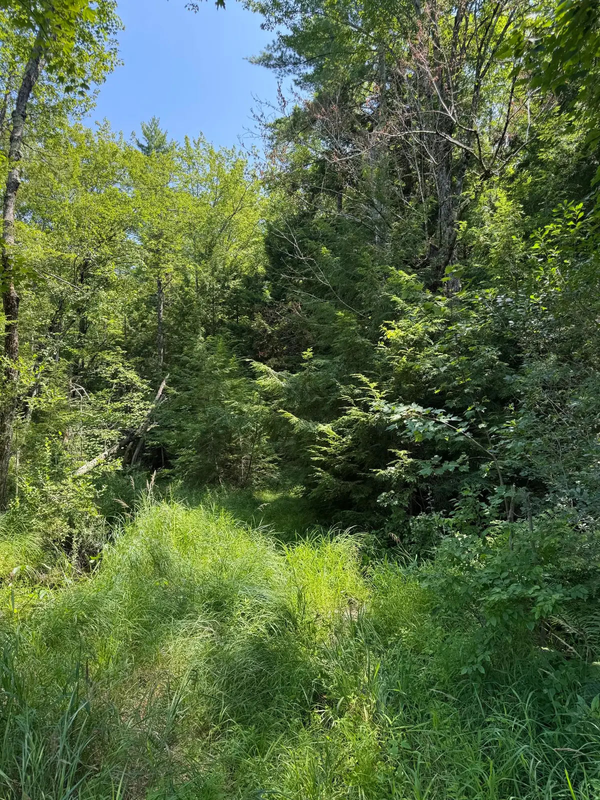 M R10 L12 Bauneg Beg Road, Sanford, ME 04073 - #1