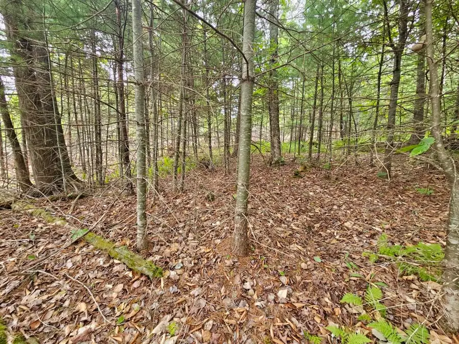 22-03 Rowell Mountain Road, Solon, ME 04979 - #3