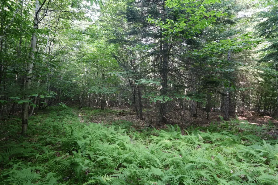 M25 Lot 28 N Green Street, Greenville, ME 04441 - #3