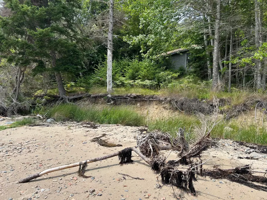 557 Paul Bunyan Road, Gouldsboro, ME 04607 - #2