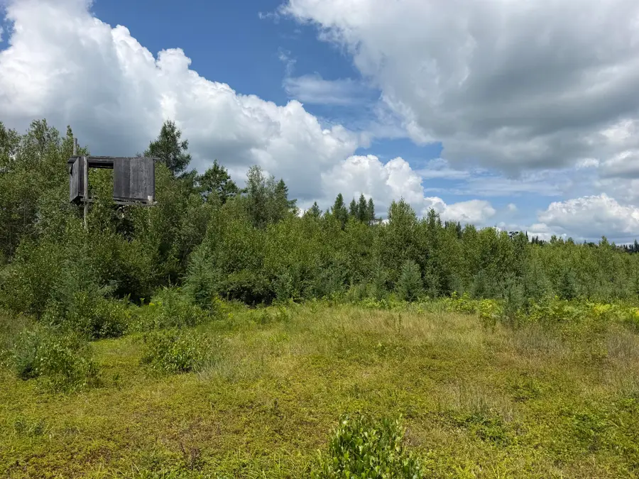 385 Johnson Flat Road, Pittsfield, ME 04967 - #2