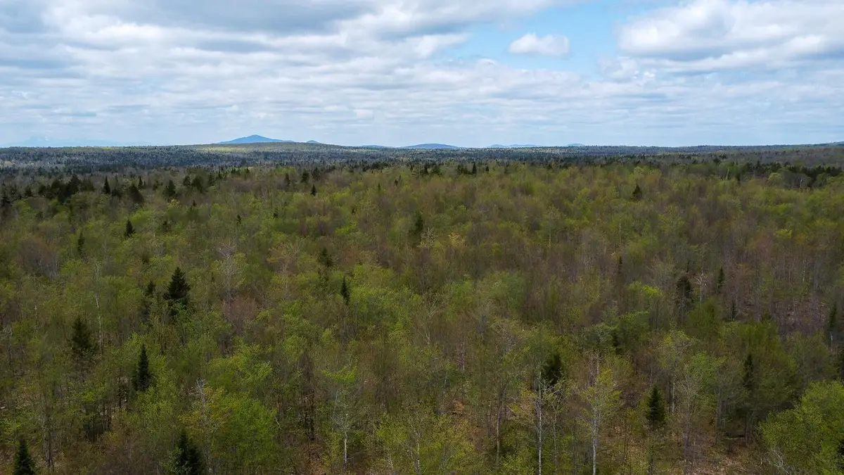 M3L11 Off Route 212, Merrill, ME 04780 - #1