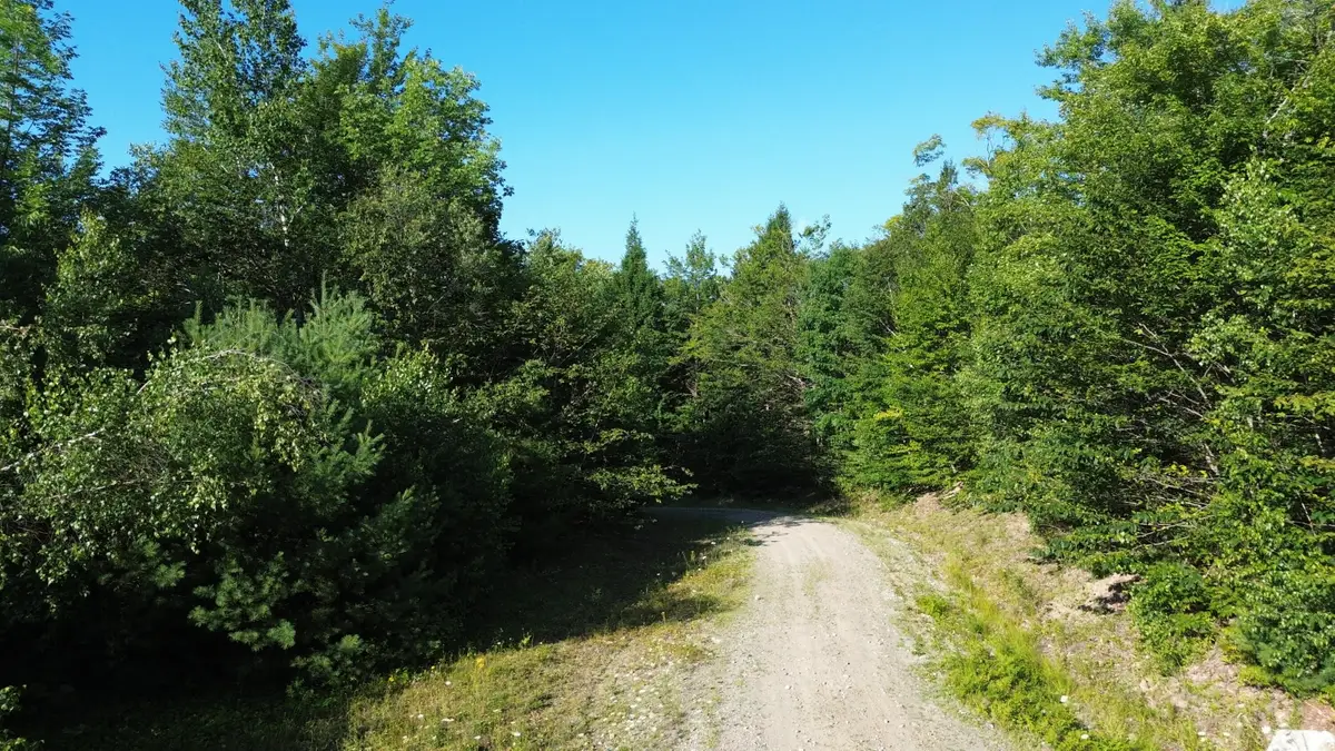 M13L7 Bear Mountain Road, Fairfield, ME 04937 - #1