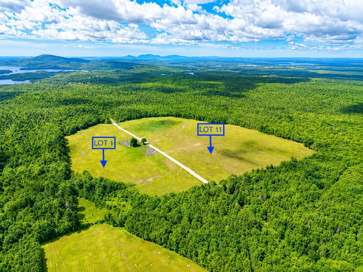L1,4,9,11 Martins Ridge Road, Franklin, ME 04634 - #1
