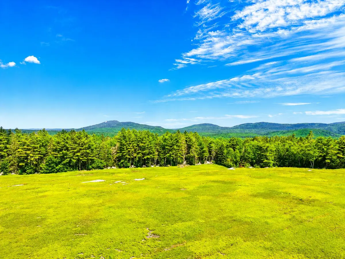MAP13LOT1 Martins Ridge Road, Franklin, ME 04634 - #1