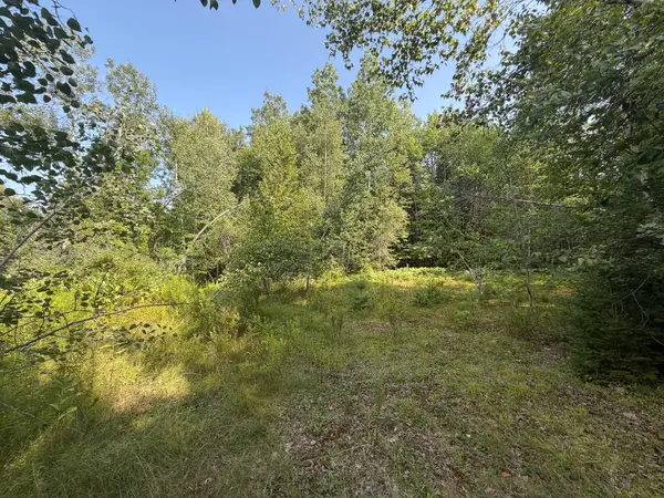 305 Hovey Road, Milo, ME 04463