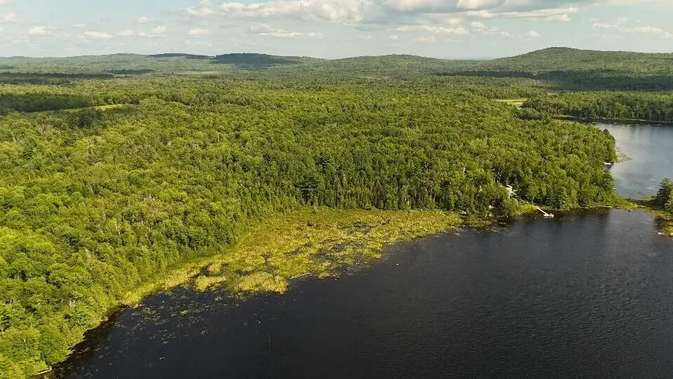 M2 L66 Wheaton Road, Dover Foxcroft, ME 04426 - #1