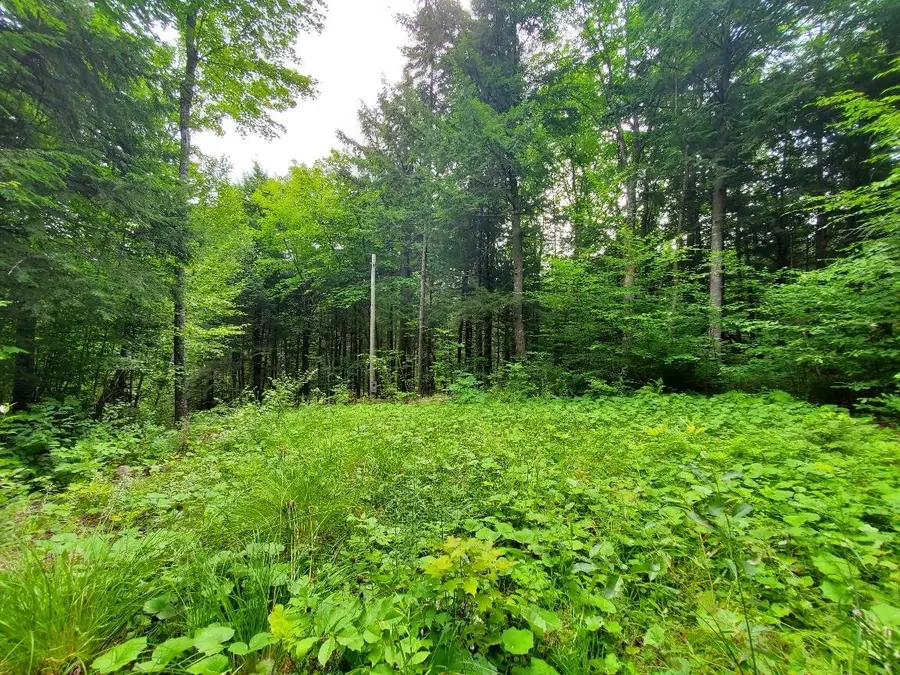 Map18Lot27 Sandy Beach Road, Danforth, ME 04424 - #2