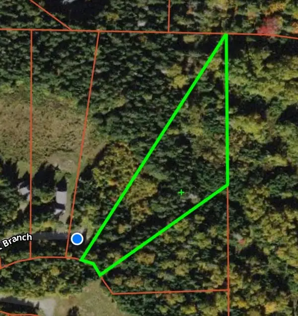 Lot 59 Left Branch, Rangeley Plt, ME 04970