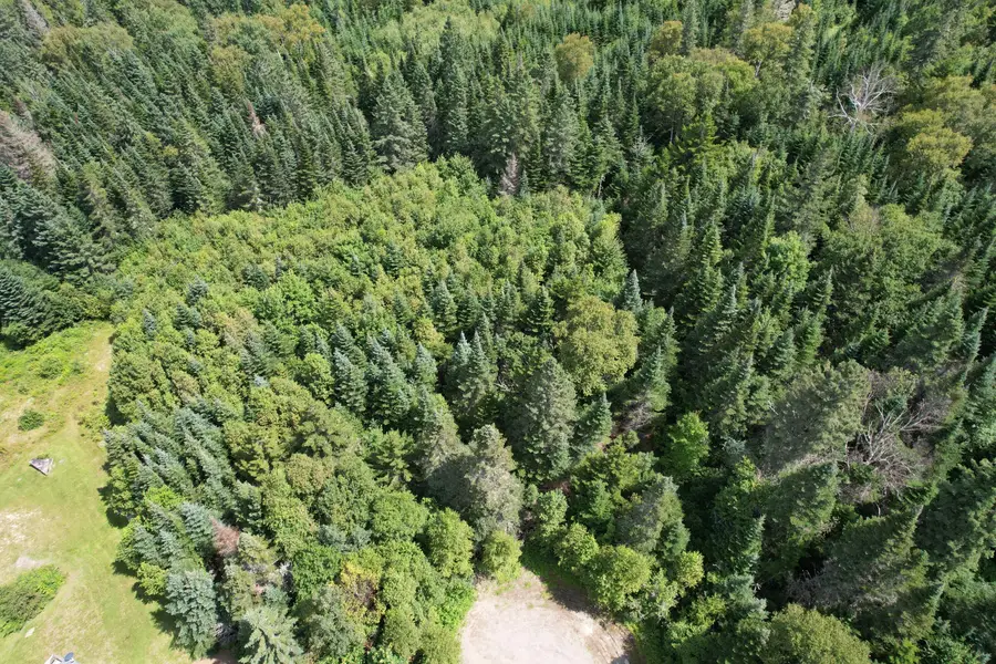 Lot 59 Left Branch, Rangeley Plt, ME 04970 - #2
