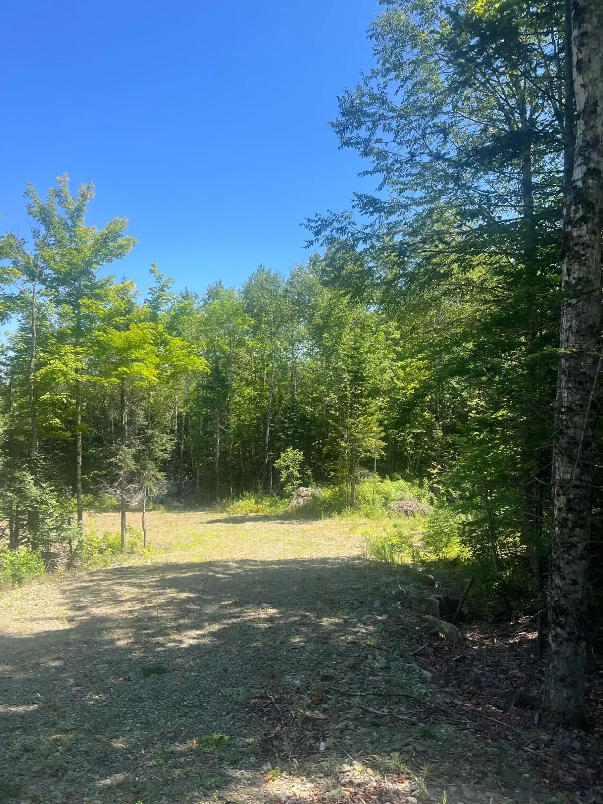Lot 23.3 Forest City Road, Forest City Township, ME 04413 - #1