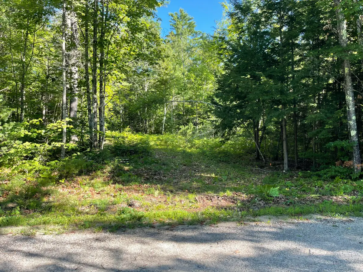 Lot #0 Birch View Drive, South Oxford, ME 04217 - #1