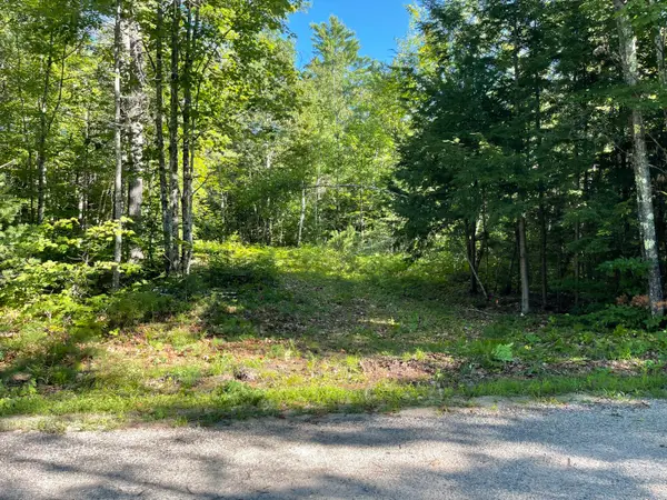 Lot #0 Birch View Drive, Albany Twp, ME 04217
