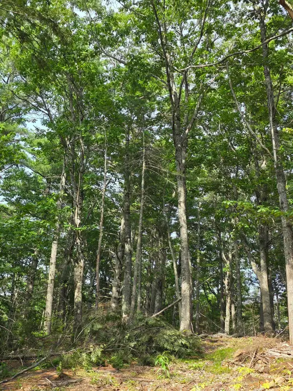 00 Pinnacle Road, Liberty, ME 04949