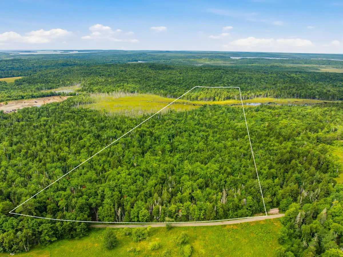 Lot 24B Ridge Road, Whiting, ME 04691 - #1