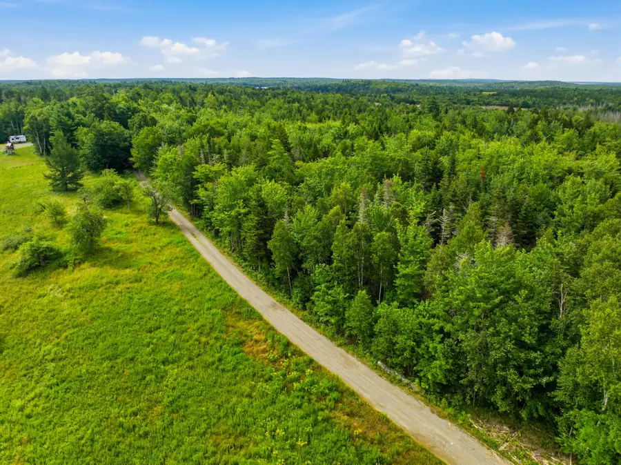 Lot 24B Ridge Road, Whiting, ME 04691 - #2