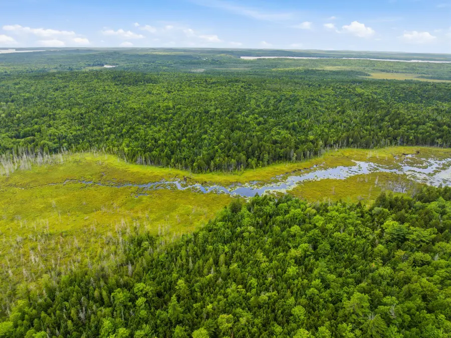 Lot 24B Ridge Road, Whiting, ME 04691 - #3