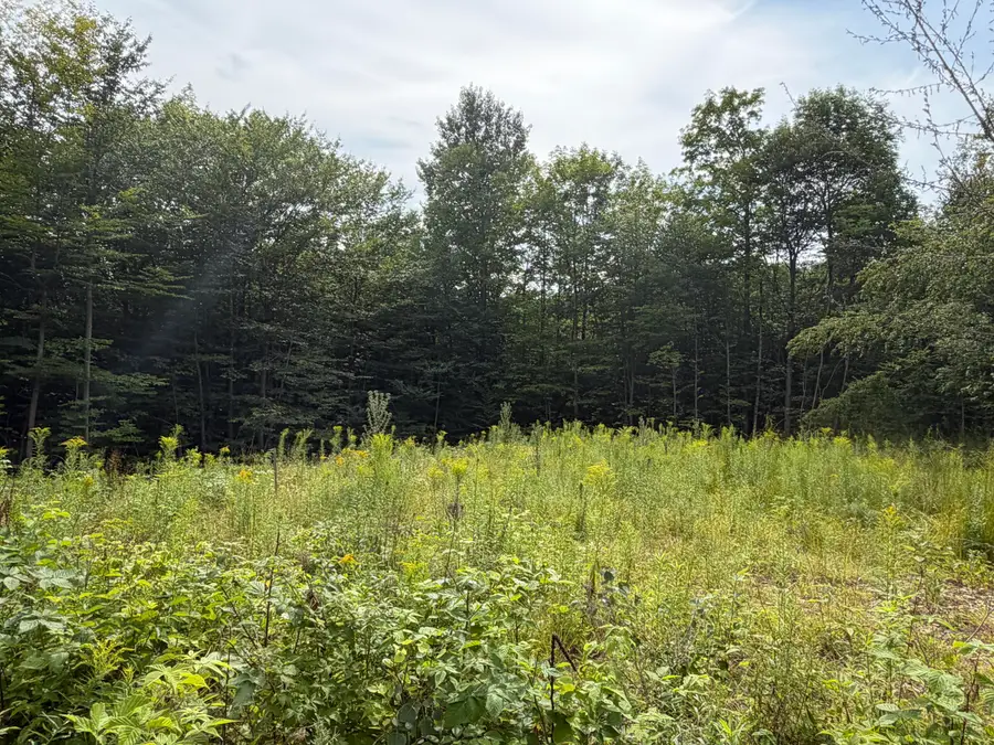 Lot 60&116 Plaisted Road, Jay, ME 04239 - #3