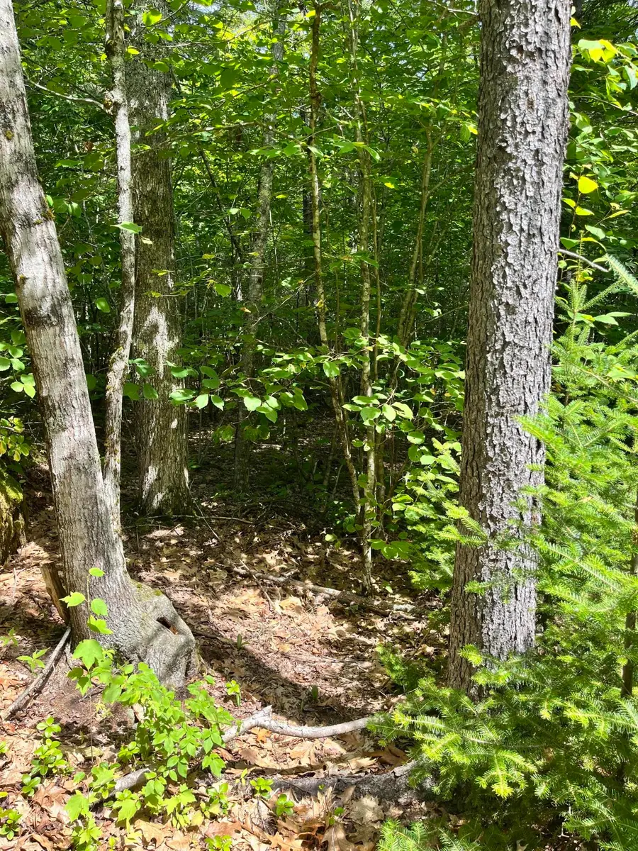 Lot 5 Will Butler Lane, Bremen, ME 04551 - #3
