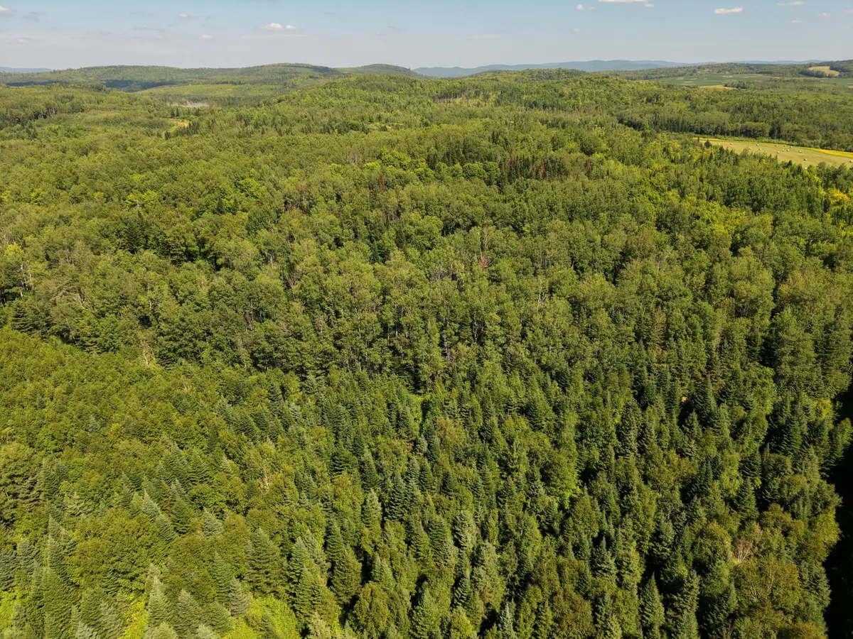 M3/L22 Off Monson Mill Road, Fort Fairfield, ME 04742 - #1