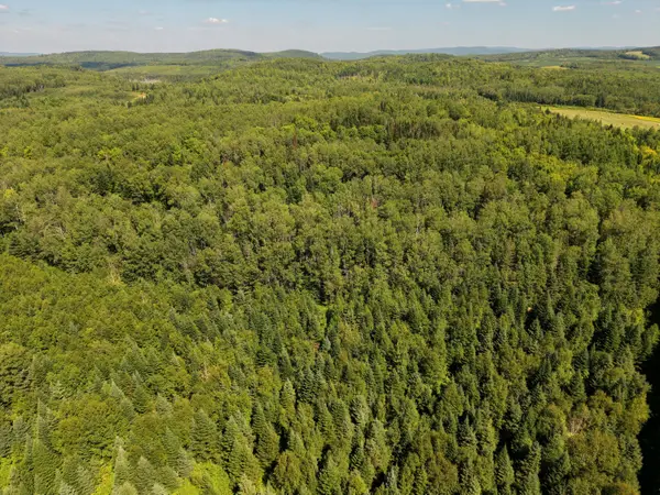 M3/L22 Off Monson Mill Road, Fort Fairfield, ME 04742