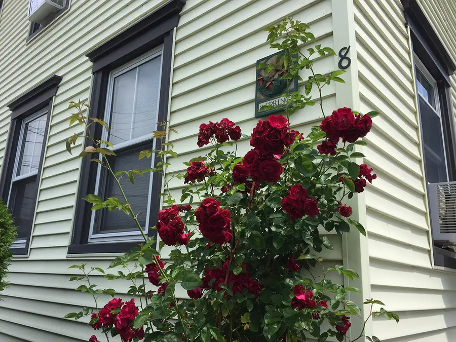 8 Spring Street, Westbrook, ME 04092 - #3