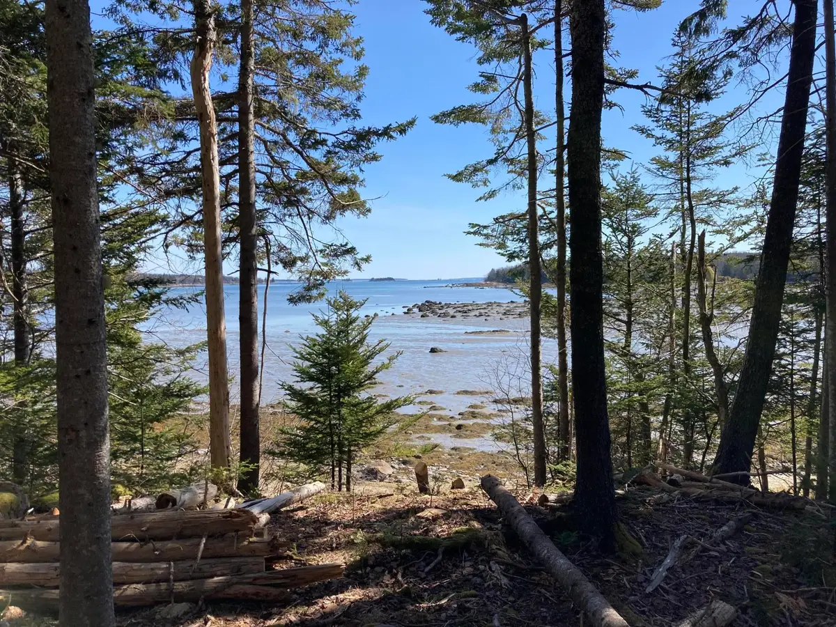 28 Tucker Way, Brooklin, ME 04616 - #1