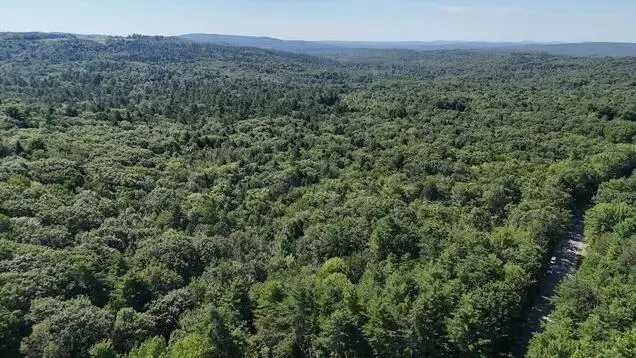 Lot 42-B Station Road, Hebron, ME 04238 - #3