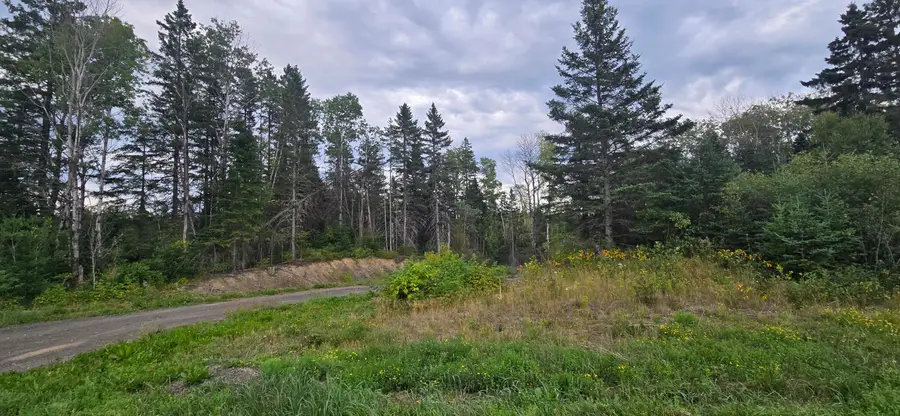 Map23 Lot33, Madawaska, ME 04756 - #3