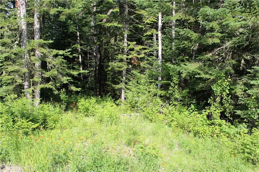 Lot 24B Bemis Road, Rangeley Plt, ME 04970 - #3