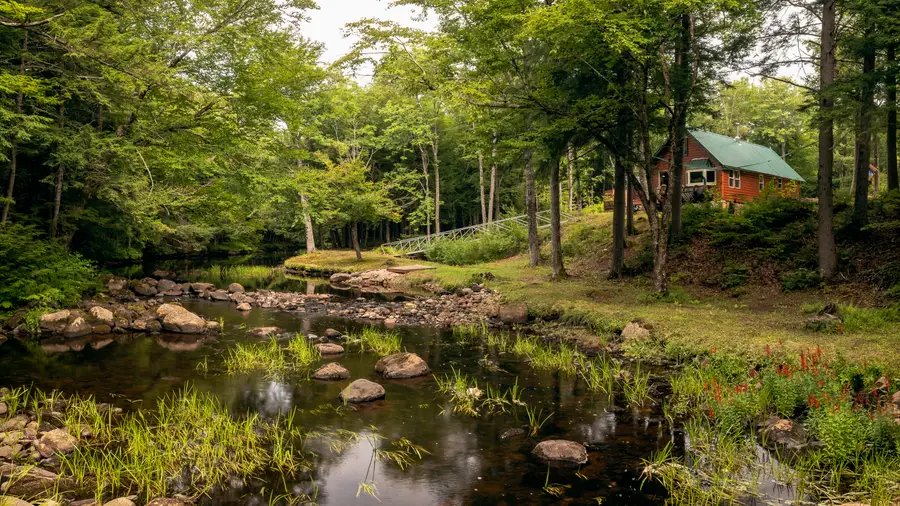 293 River Road, Sumner, ME 04292 - #2