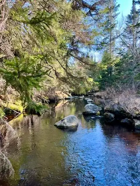 Lot 19-2 Valley Road, Columbia, ME 04623