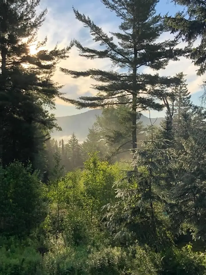 315 Hinckley Ridge Road, Blue Hill, ME 04614 - #3