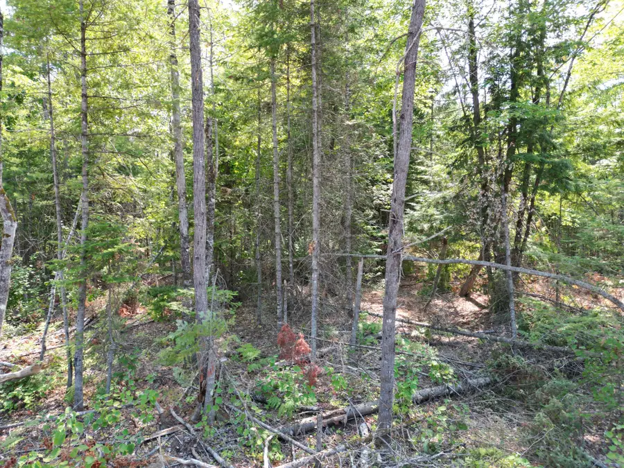 Lot 4A Off Morgan Road, Burnham, ME 04922 - #3