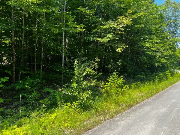 Lot  14-4 Baker Ridge Road, Danforth, ME 04424